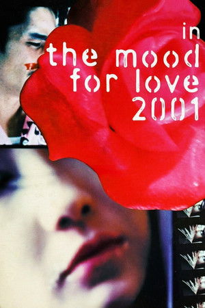 花样年华2001