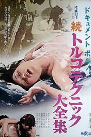 ドキュメント・ポルノ 続トルコテクニック大全集