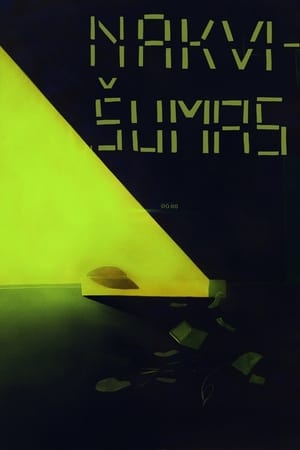 Nakvišumas