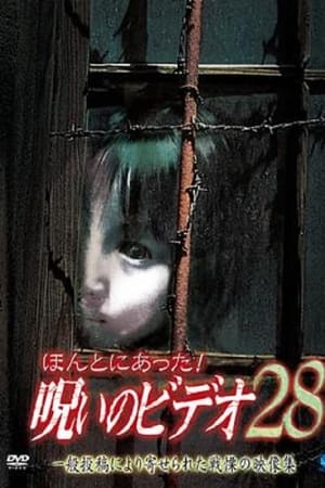 ほんとにあった！呪いのビデオ28