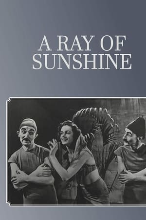 A Ray of Sunshine