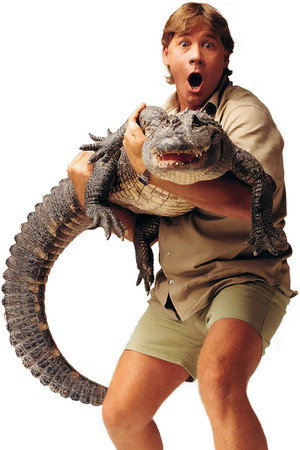 Steve Irwin: A Wild Life
