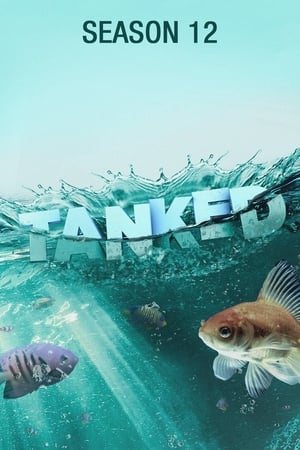 百变水族箱第 12 季