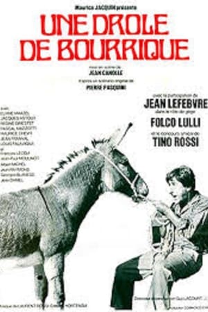 L'âne de Zigliara