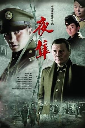 夜隼