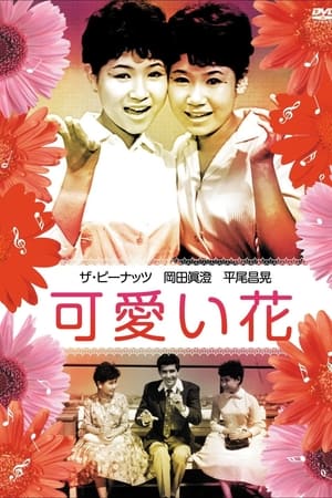 可愛い花