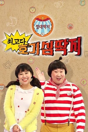 최고다! 호기심딱지