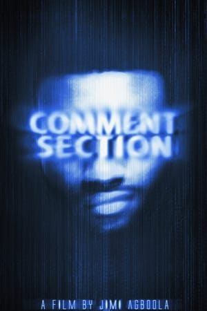 Comment Section