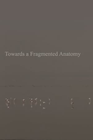 Towards a Fragmented Anatomy
