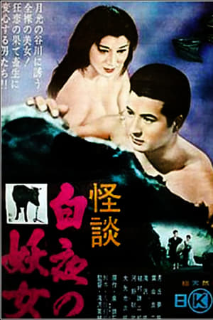 白夜の妖女