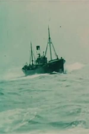 A Trip to the White Sea Fisheries
