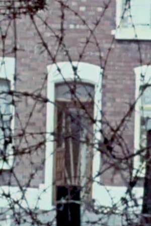 Belfast - No Way Out