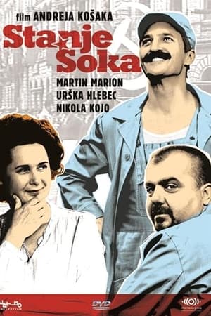Stanje šoka
