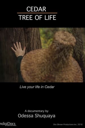 Cedar Tree of Life