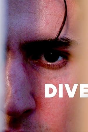 Diversion