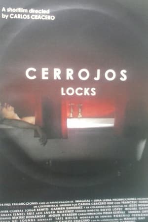 Cerrojos