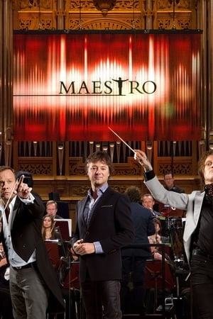Maestro第2季