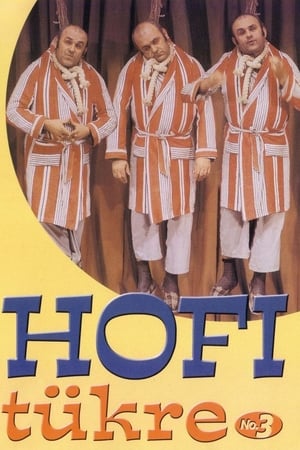 Hofi tükre No.3