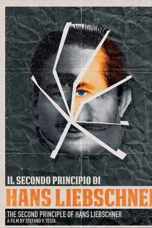 Il secondo principio di Hans Liebschner