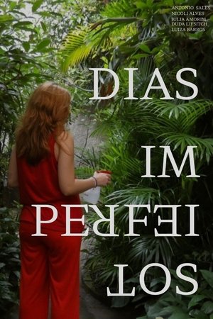 Dias Imperfeitos