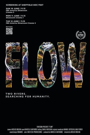 Flow