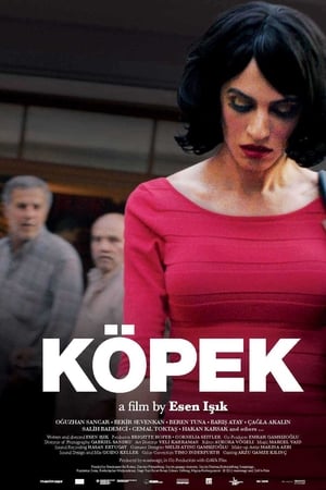 Köpek