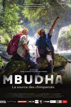 Mbudha, sur les traces des chimpanzés