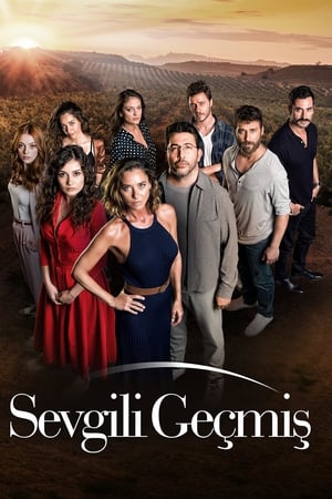 Sevgili Geçmiş