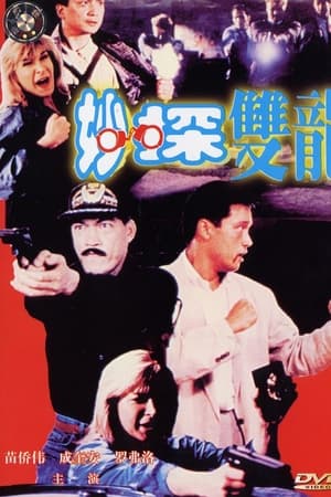 妙探雙龍