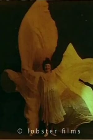 Butterfly Dances