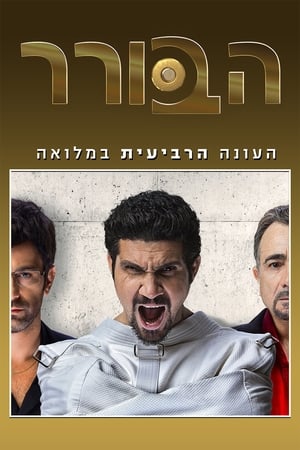 הבורר第4季