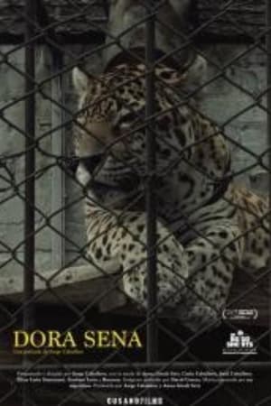 Dora Sena