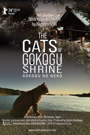 五香宮の猫