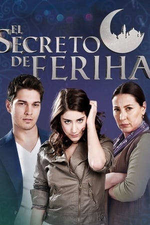 Adını Feriha Koydum第2季