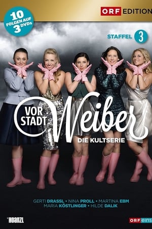 Vorstadtweiber第3季