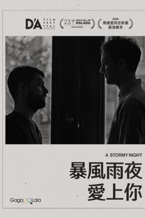 相识风雨中