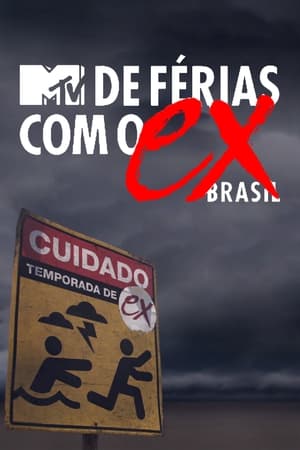 De Férias com o Ex Brasil第6季