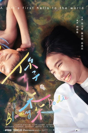 你好，朵朵