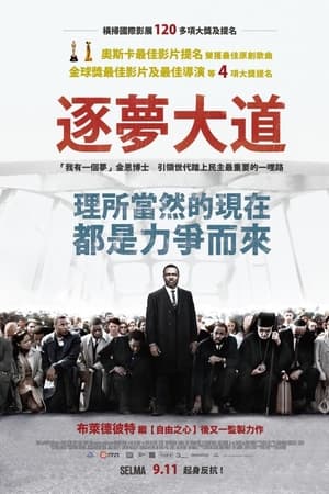 塞尔玛
