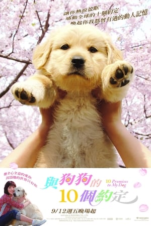 狗狗与我的十个约定