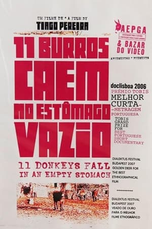 11 Burros Caem No Estômago Vazio