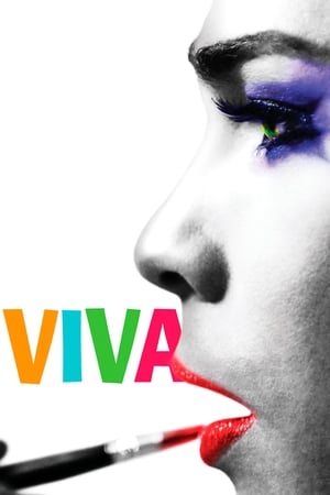 维瓦 Viva