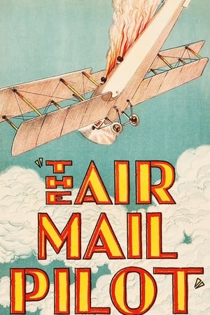 The Air Mail Pilot