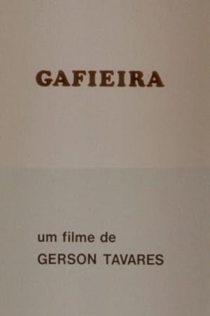 Gafieira