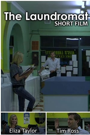 The Laundromat