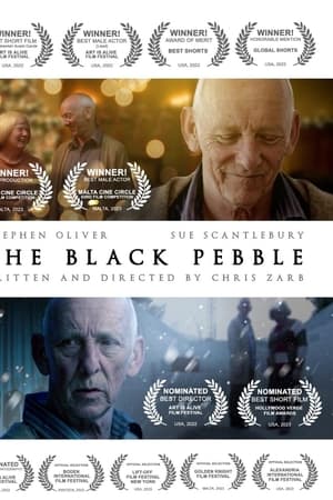 The Black Pebble