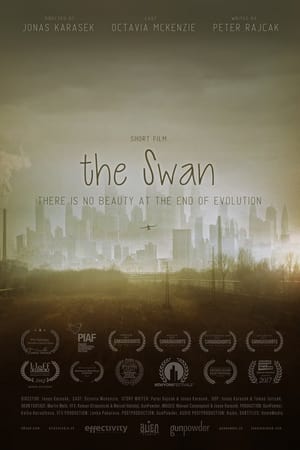 The Swan