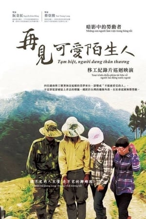 再見，可愛陌生人