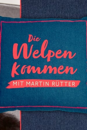 Der Hundeversteher