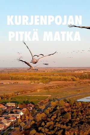 Kurjenpojan pitkä matka